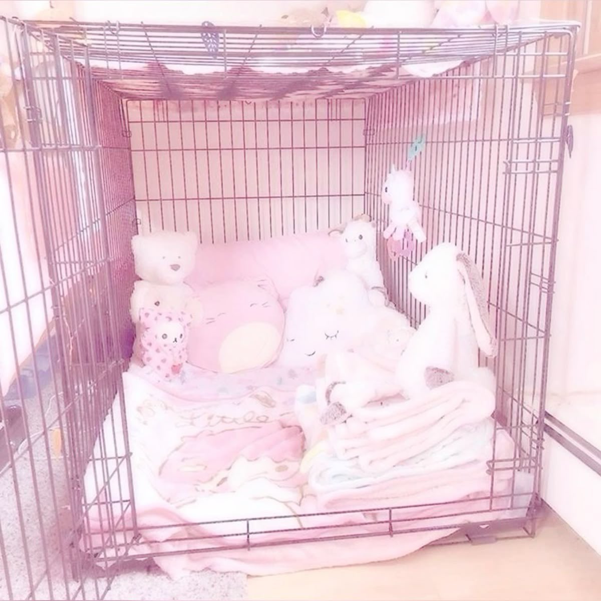 ૮꒰ ྀི◜๑◝ ꒱ა tweet media