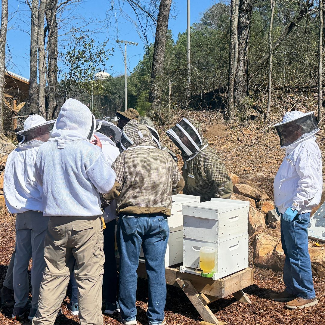FoxhoundBeeCo's tweet image. We have a full all-day bee class this today! After the lecture, the group went to the apiary to see and open a real hive.

Slots are still available for our March 13 and April 17 classes if you're interested: bit.ly/4qFaMvL

#foxhoundbeeco #beekeeping #beekeepingclass