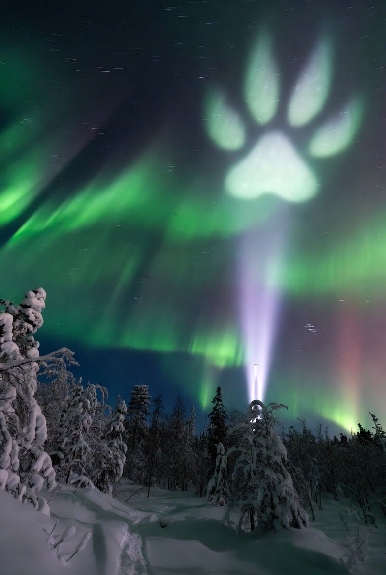 Sending your signal <a href="/TheRoaringKitty/">Roaring Kitty</a> ❤️ from Finland