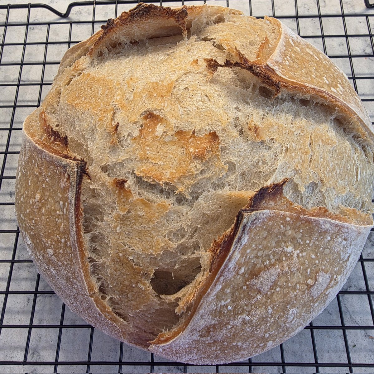 jannajones's tweet image. Looks pretty good and tastes great. Definitely not less filling 🤣 #sourdough