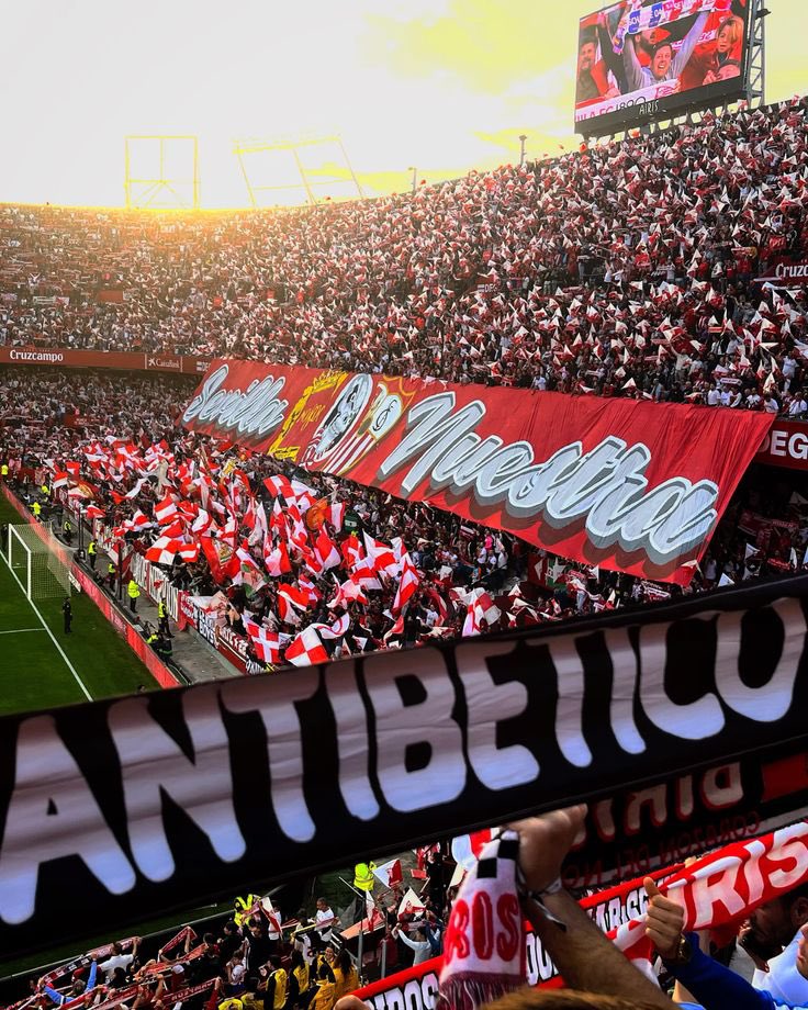 Pabiosfc1's tweet photo. Puta Betis siempre! https://t.co/Kv9J78xIKs