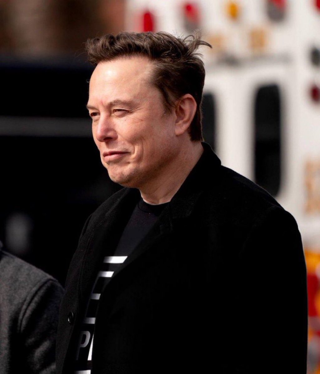 DogeDesigner tweet media