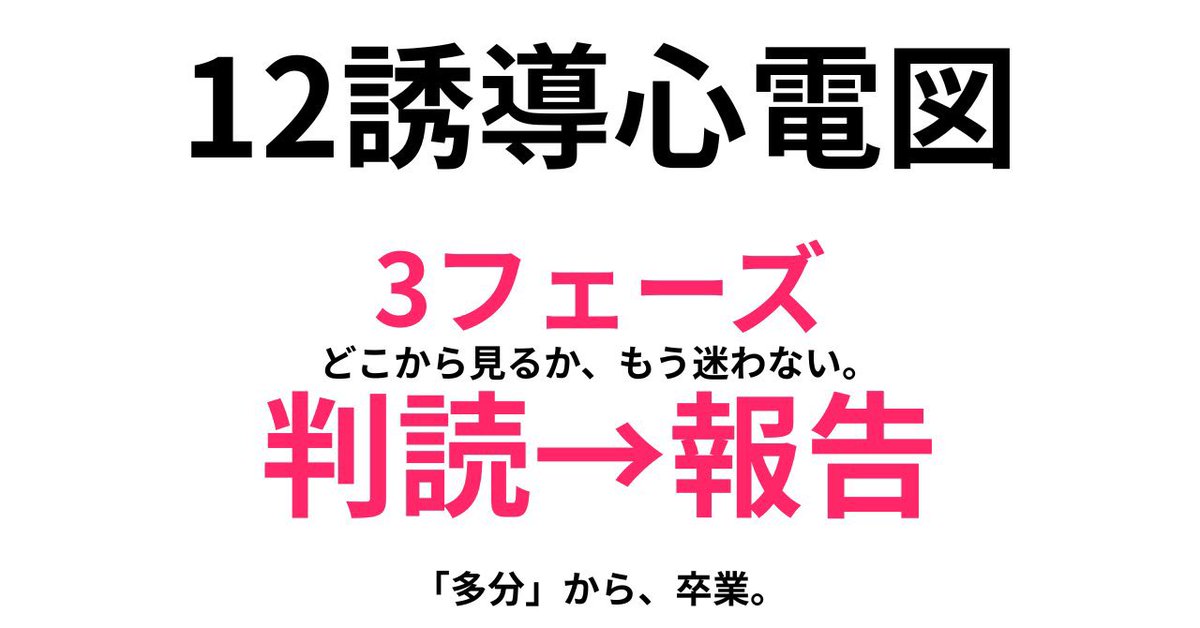 心電図くま | ECG KUMA tweet media