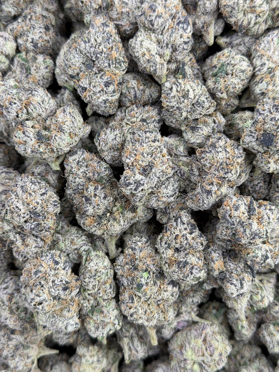 theplughtown's tweet photo. Houston spring break plug🔌
Medical Cali bowls🔥🔥 
 cashapp X delivery

7/65$ 
14/125$
 28/180$
QPS/500$
 
#houstontexas #downtownhouston #weed #texas #houstonza #houstonzaza #houstonplug #plug #houstonmeets #houstonmeetups #midtown #montrose #medicalcenter #Galleria #travel https://t.co/xRs2Q74ewj
