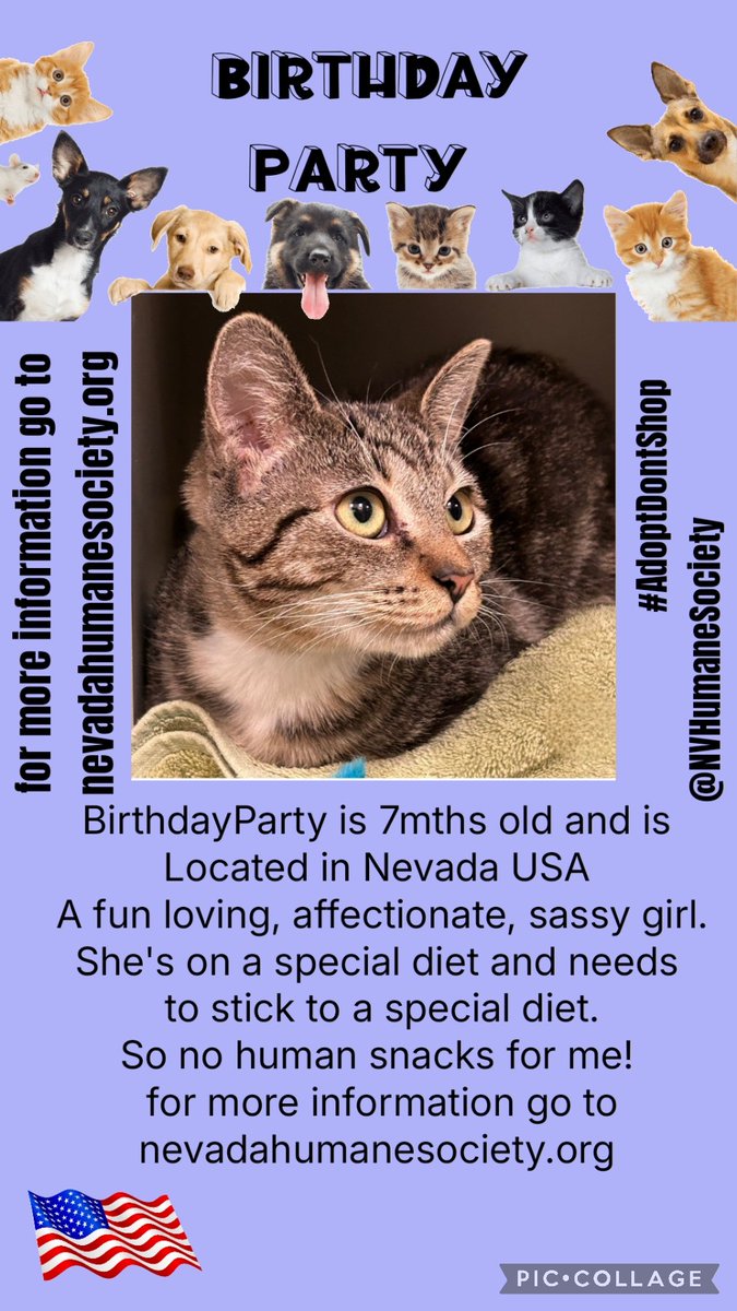 Millie🐾🌈#oneforallandallformillie 🐾🌈 tweet media