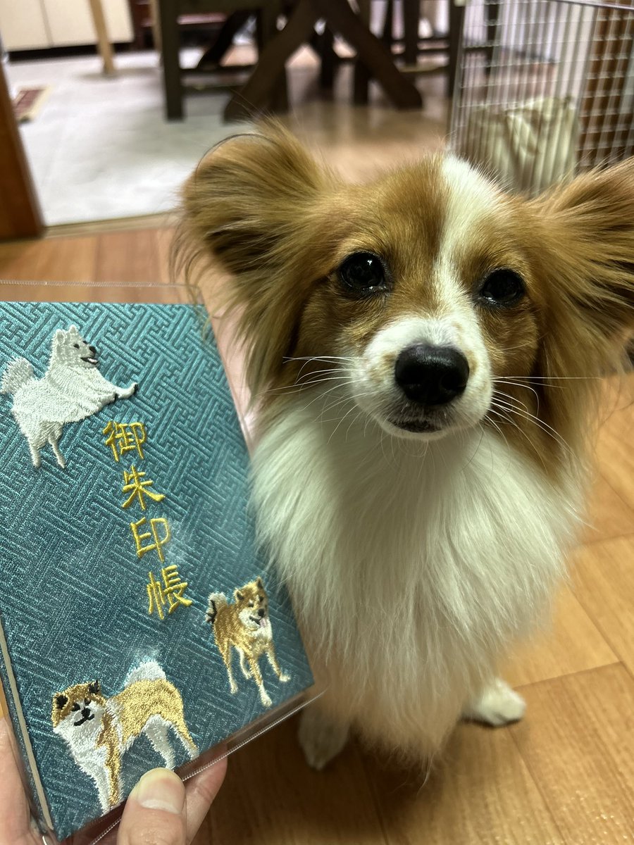 おはやいます☀️ #世良田八坂神社 の御朱わん帳🐾 「わんちゃんは