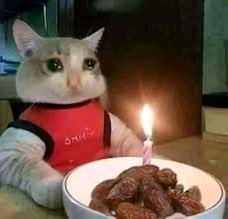 د.جَراح المطيري 🇸🇦🇰🇼 tweet media