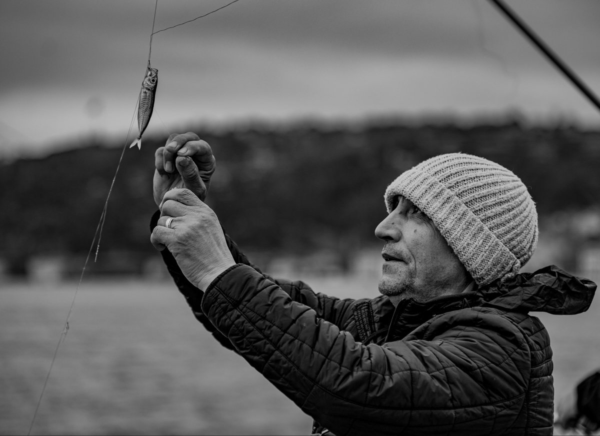 boa_photography's tweet photo. A fisherman’s small reward: The baby horse mackerel.
Beykoz, Istanbul, TR - Feb 2026
Gear : Fujifilm X-H2 &amp; XF50-140mmF2.8 https://t.co/3uObYASh3q