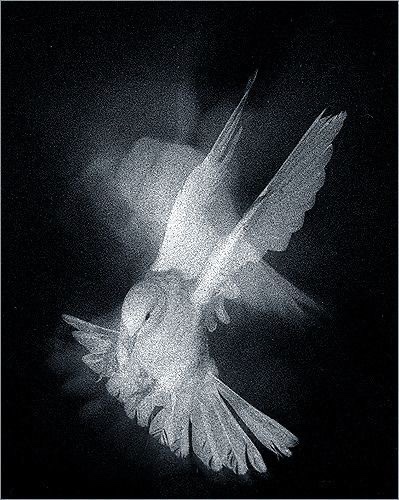 Aesthetic.Guyy tweet media