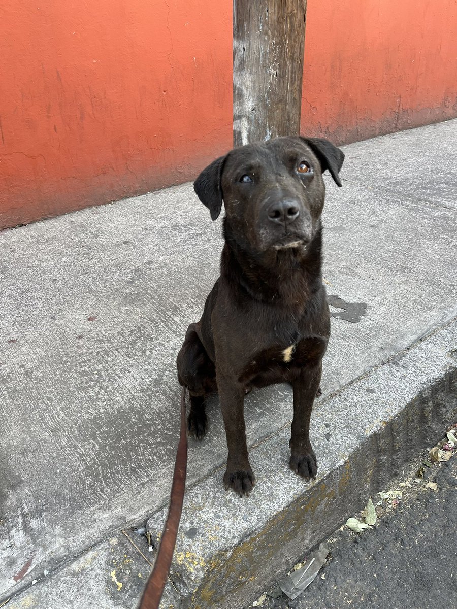 𝙷𝚎𝚕𝚊 𝙼𝚘𝚛𝚎 🐶 tweet media