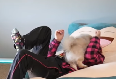 Bricksie tweet media