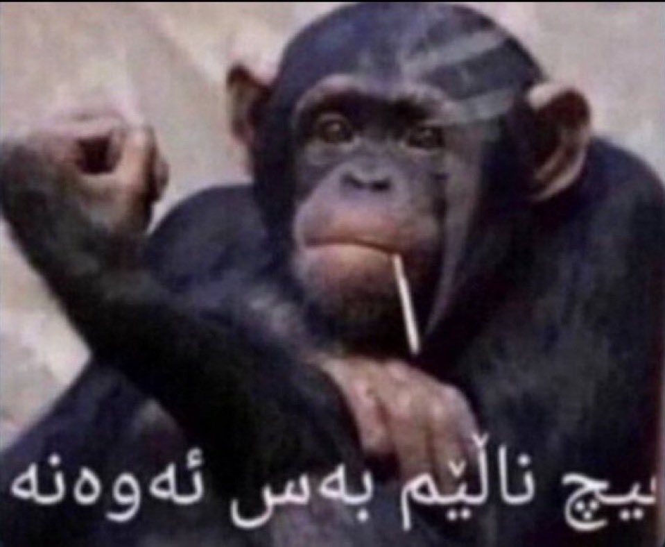 ابو نايف tweet media