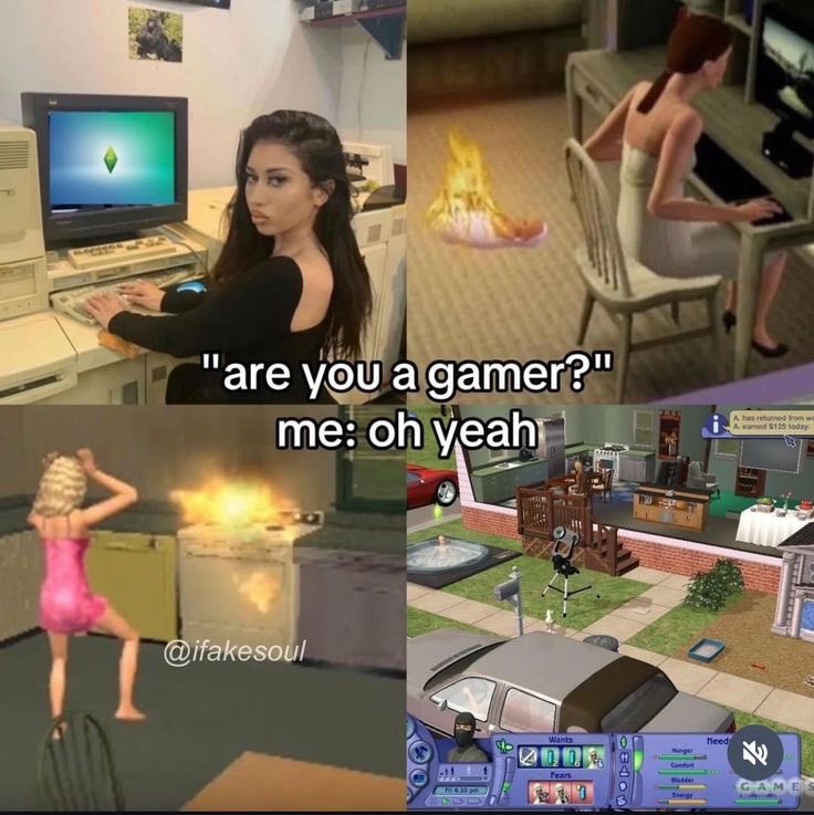 ❁✿❀ tweet media