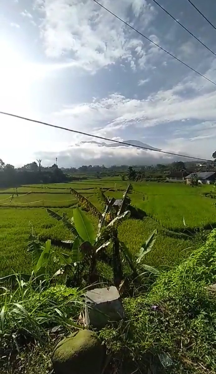 DedyWSiregar's tweet photo. Duhai para penggede, tulung selain melulu nanam padi, petaninya juga sesekali diajak ngopi atau nga-botram. Agar negeri ini bisa swasembada beras dan orang waras https://t.co/0sQ4VBaDzr
