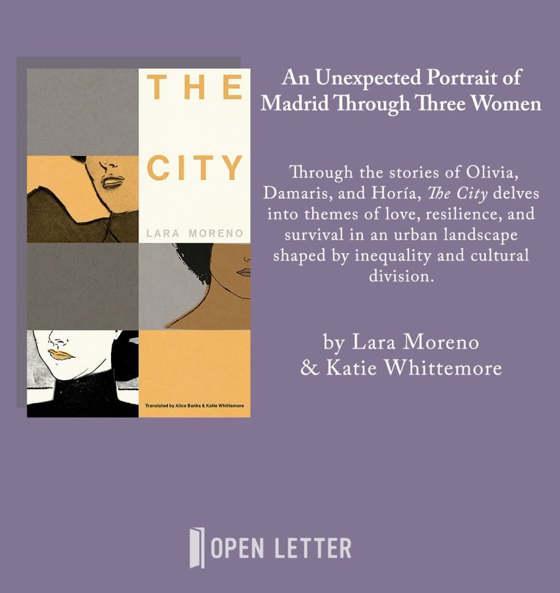 Open Letter Books tweet media