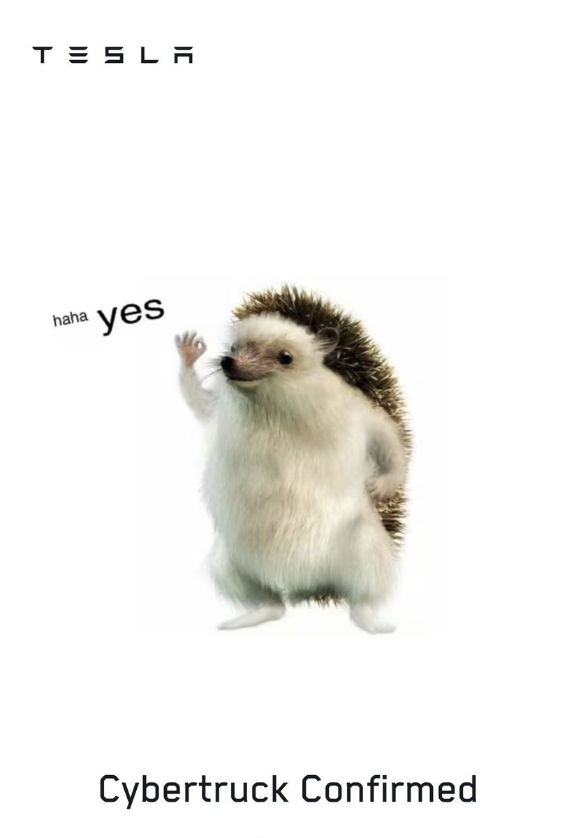 JoshWest247 ⚡️ tweet media