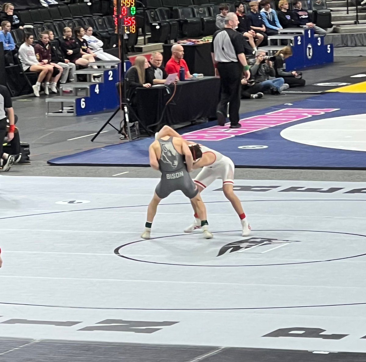 Buffalo Bison tweet media