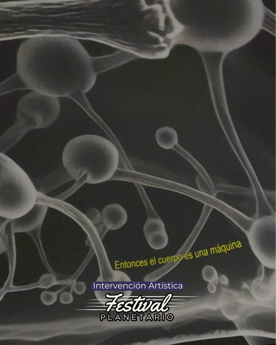 Planetario Galileo Galilei tweet media