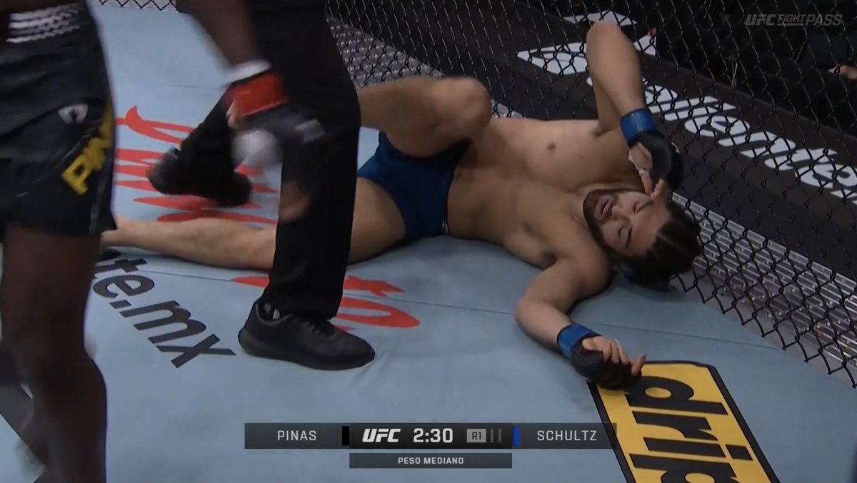 Pelunaton tweet media