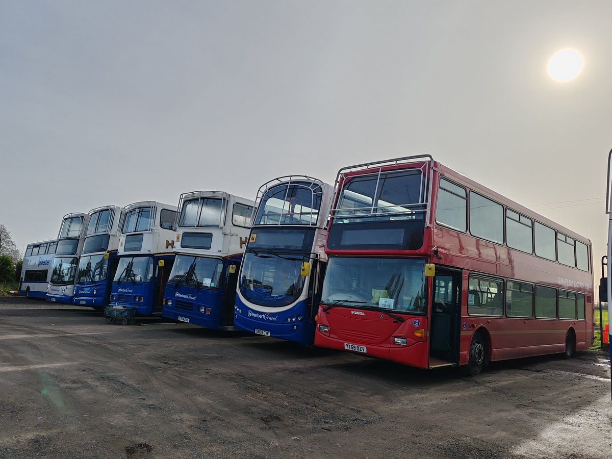 RandomBusNerd tweet media