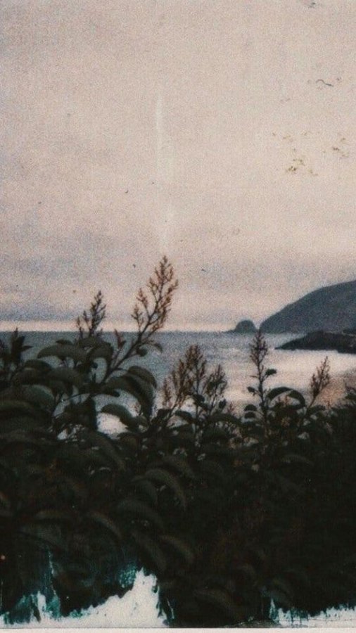 Lens of the world (@worldreamvibes) on Twitter photo 