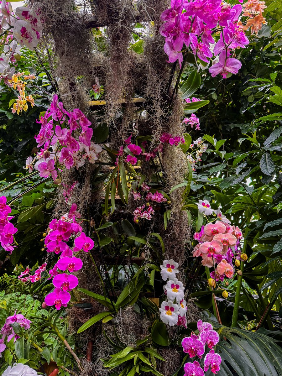 lo 🧀 𓆉 tweet media