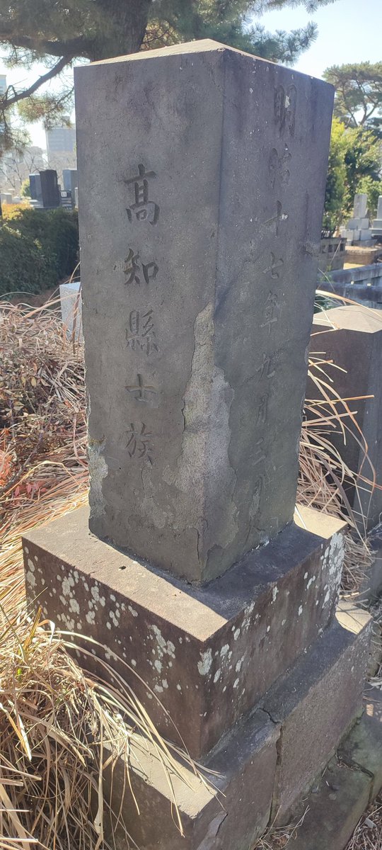 青山霊園の土佐勤王党血盟団の一人で、「天誅組の変」で死亡した楠目清馬の甥「楠目正幹墓所」が無縁状態になっている。