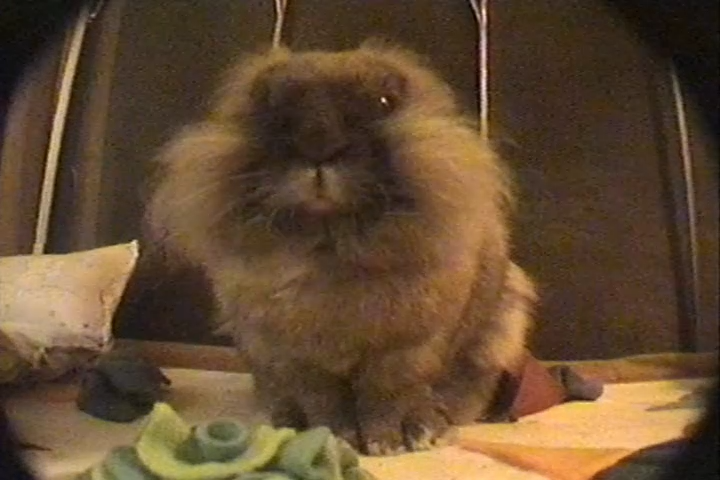 K8LEiB's tweet photo. absolute chonk captured on the handycam https://t.co/pt042mWCtv
