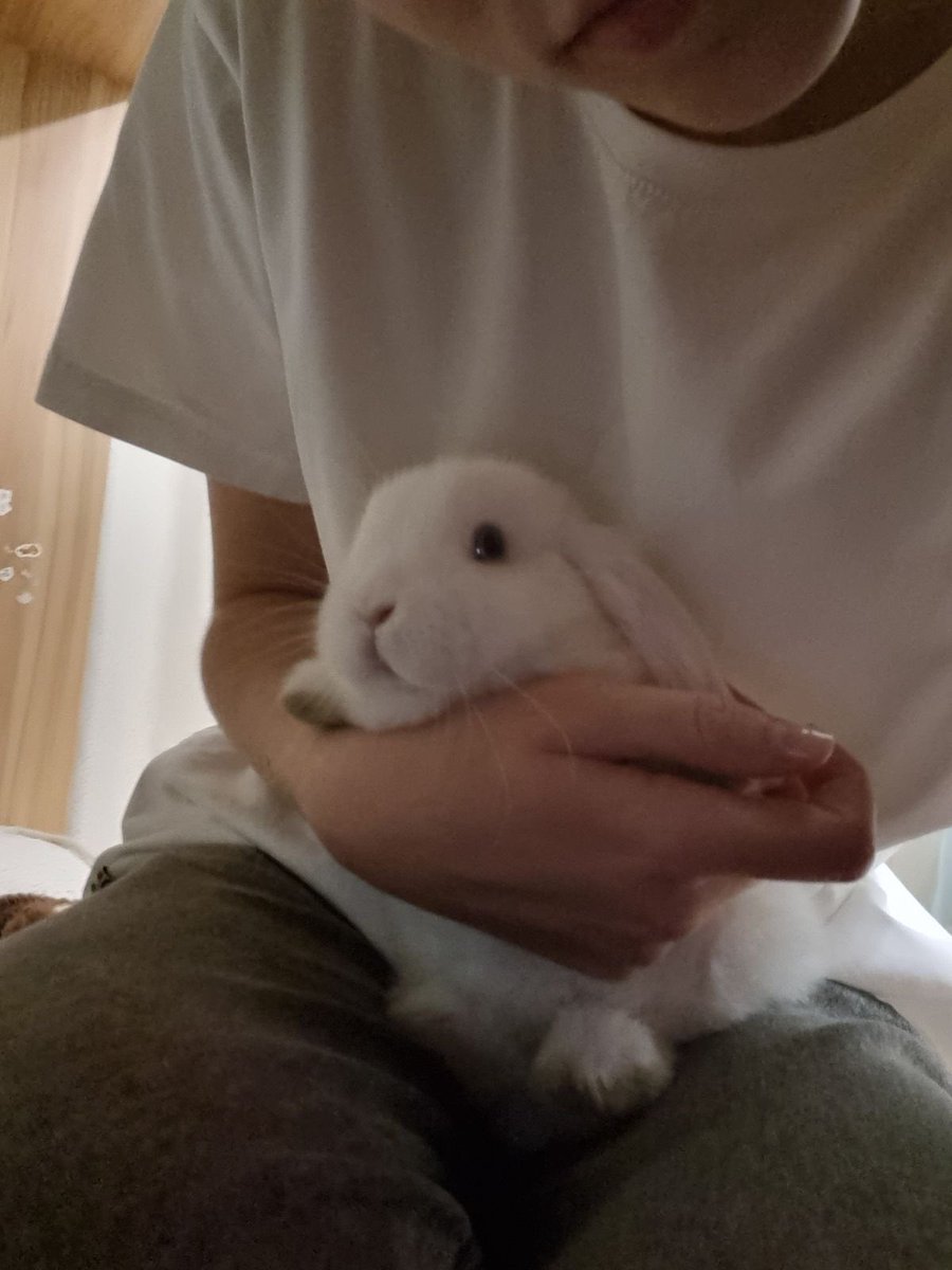 yuji!! 𐔌՞. .՞𐦯 tweet media