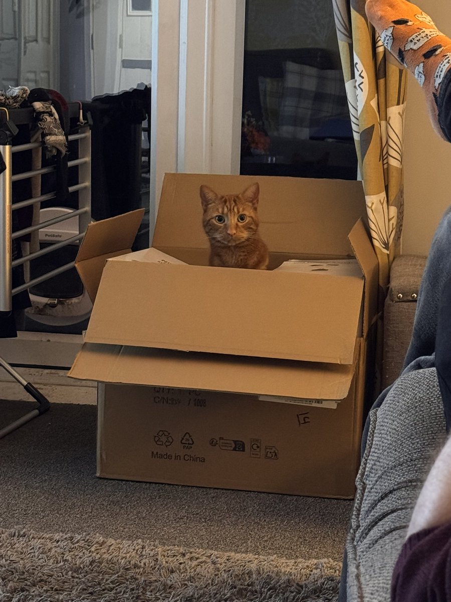 Keith Colclough 🌈 tweet media