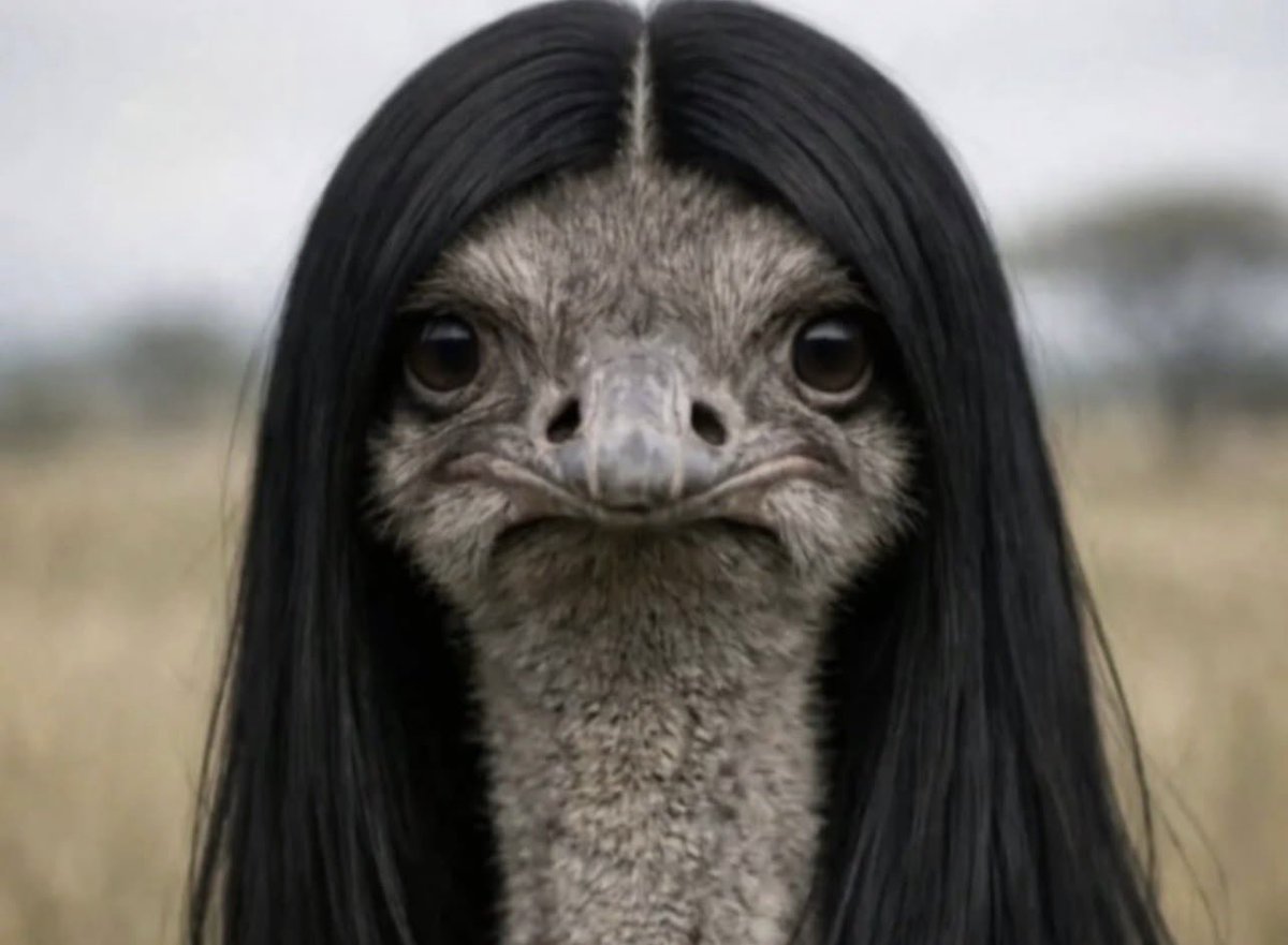 A Bloke Called Rod 🏴󠁧󠁢󠁥󠁮󠁧󠁿🇬🇧 tweet media