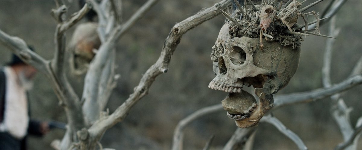 JackOCine's tweet photo. S. Craig Zahler n'a pas froid aux yeux : pour #BoneTomahawk, son premier long-métrage, il ambitionne une collision audacieuse entre western contemplatif et film de cannibales. Il engage par là un spectacle sidérant qui convertit le folklore habituel en pur cauchemar. https://t.co/XZZFmpC24Z