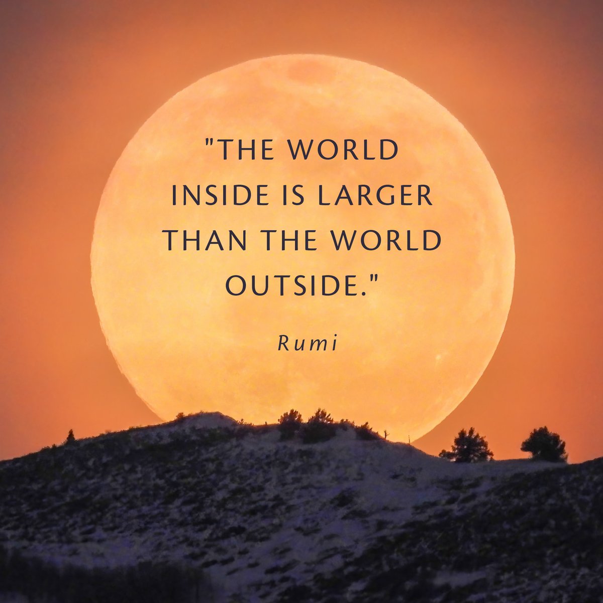 Michael Meade tweet media