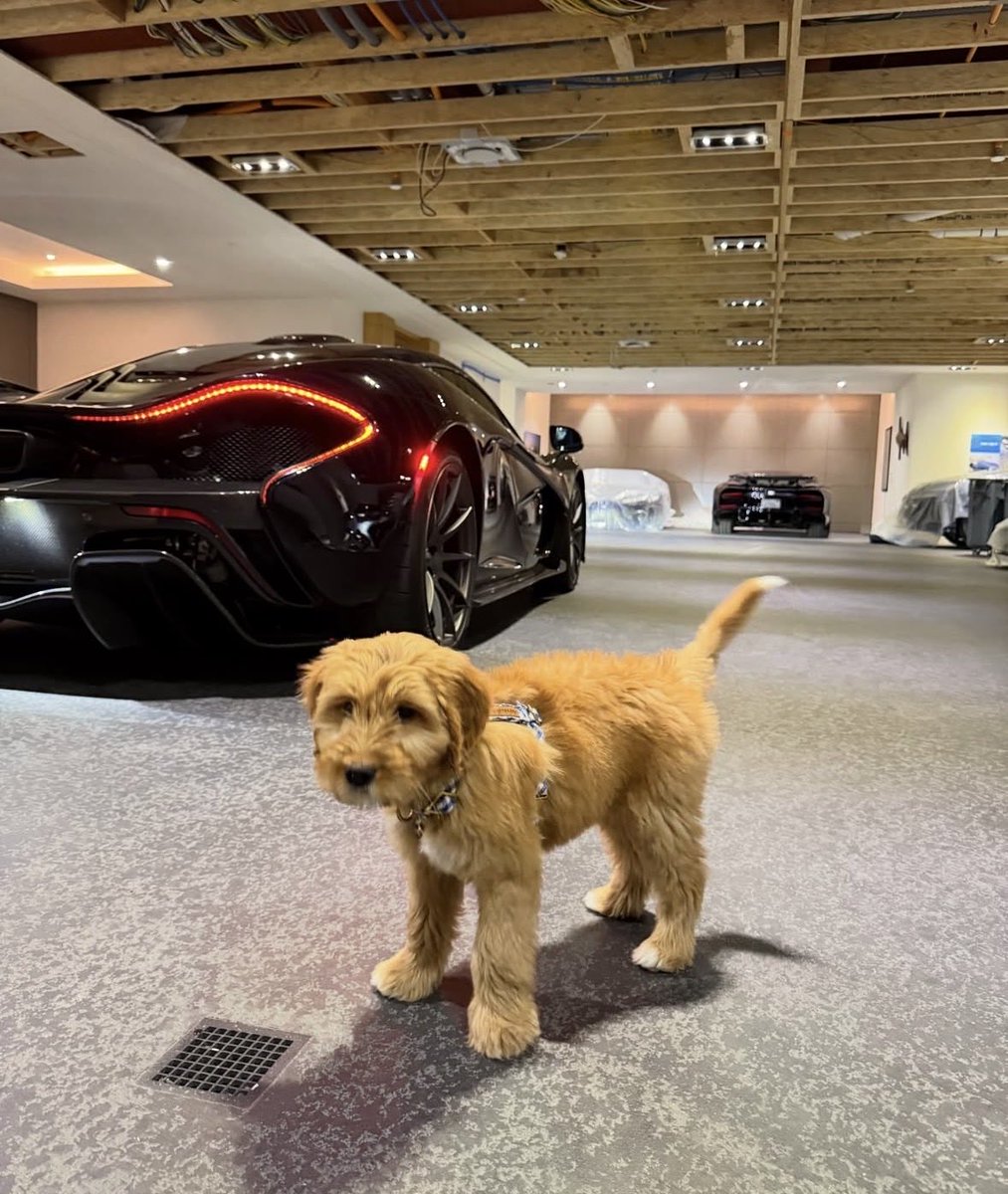 CarSighting's tweet photo. https://t.co/f8uphiUbVU
