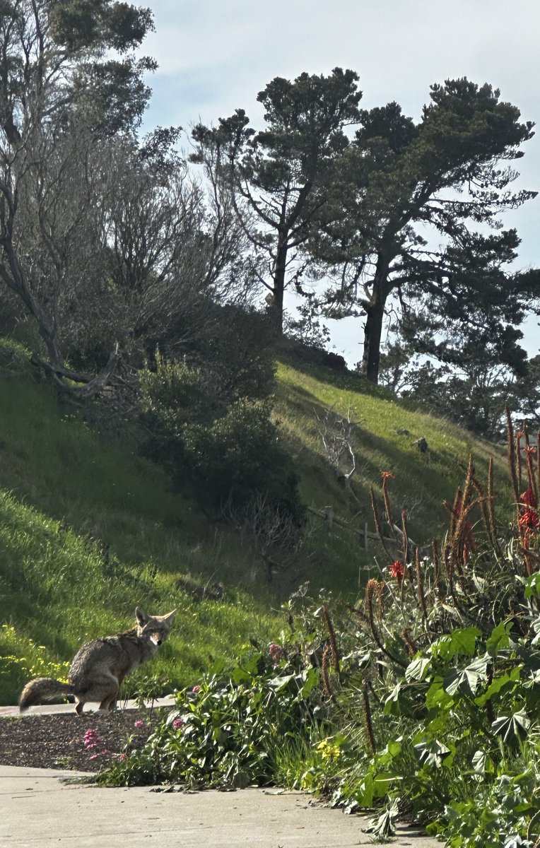 Lee Fang tweet media