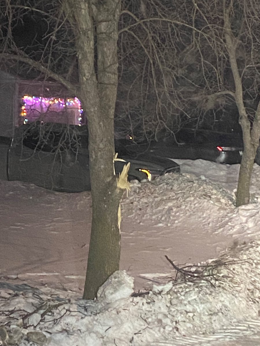 WatchWpg's tweet photo. @cityofwinnipeg theres a big limb ripped off of an ash tree on the city blvd at this intersection. Please have forestry crews chip and inspect tree. Thx https://t.co/7fU9vAbYMY