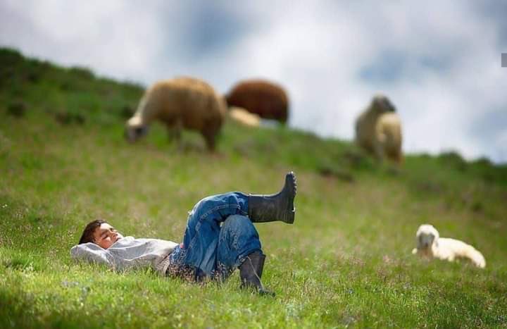 هوى جيس tweet media