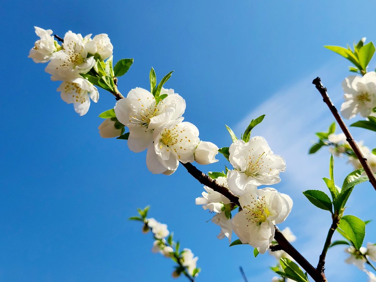 soma☘️ tweet media