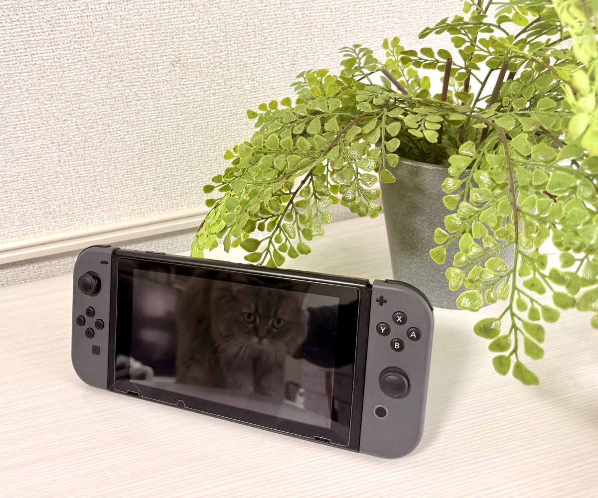 この中に一枚だけAI生成の写真が混ざっています。 どれか偽物の