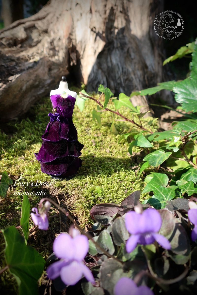 Fairy's Dress®︎ tweet media