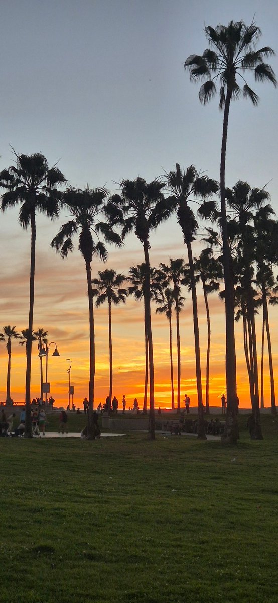 DavidBarlic's tweet photo. Oh Cali. Im in love already.
#california https://t.co/ZWQlvQukTA