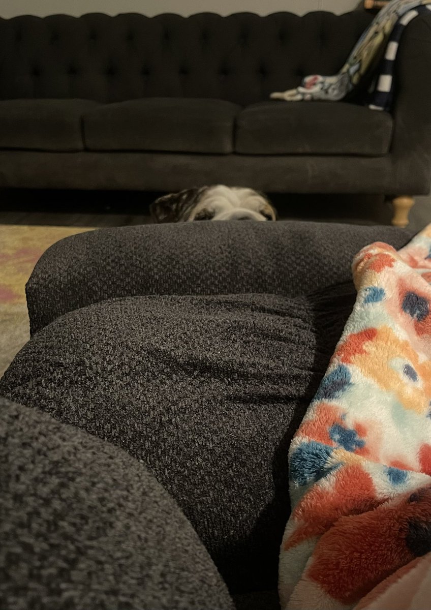 Primmrose tweet media