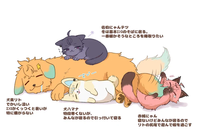⚠︎捏造
犬猫エンス 