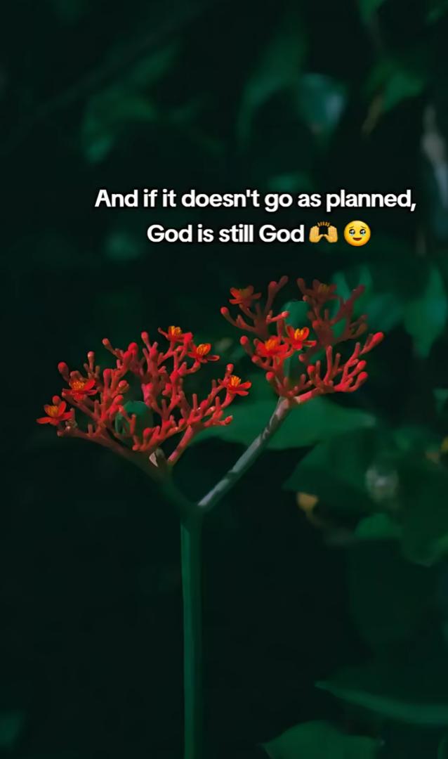 mr_wiiliamvibe's tweet photo. Happy New Month. https://t.co/imc23I96V5