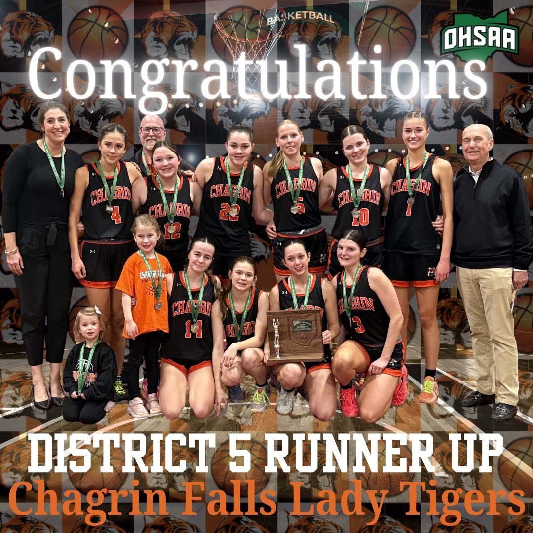 GoLadyTigers tweet media