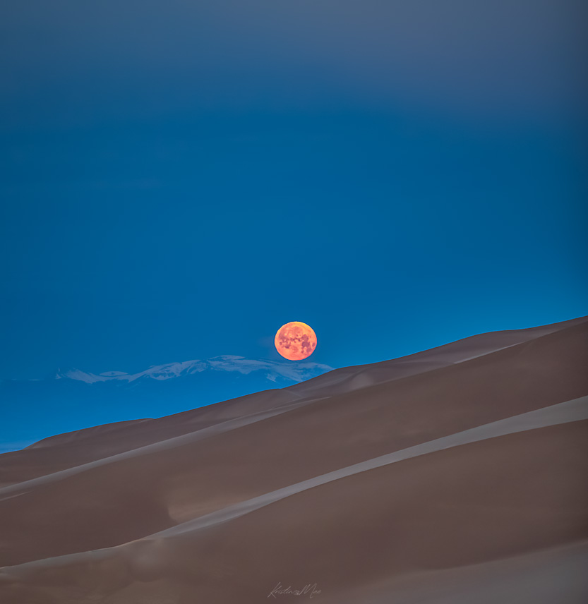 Kristin Mae Photography tweet media