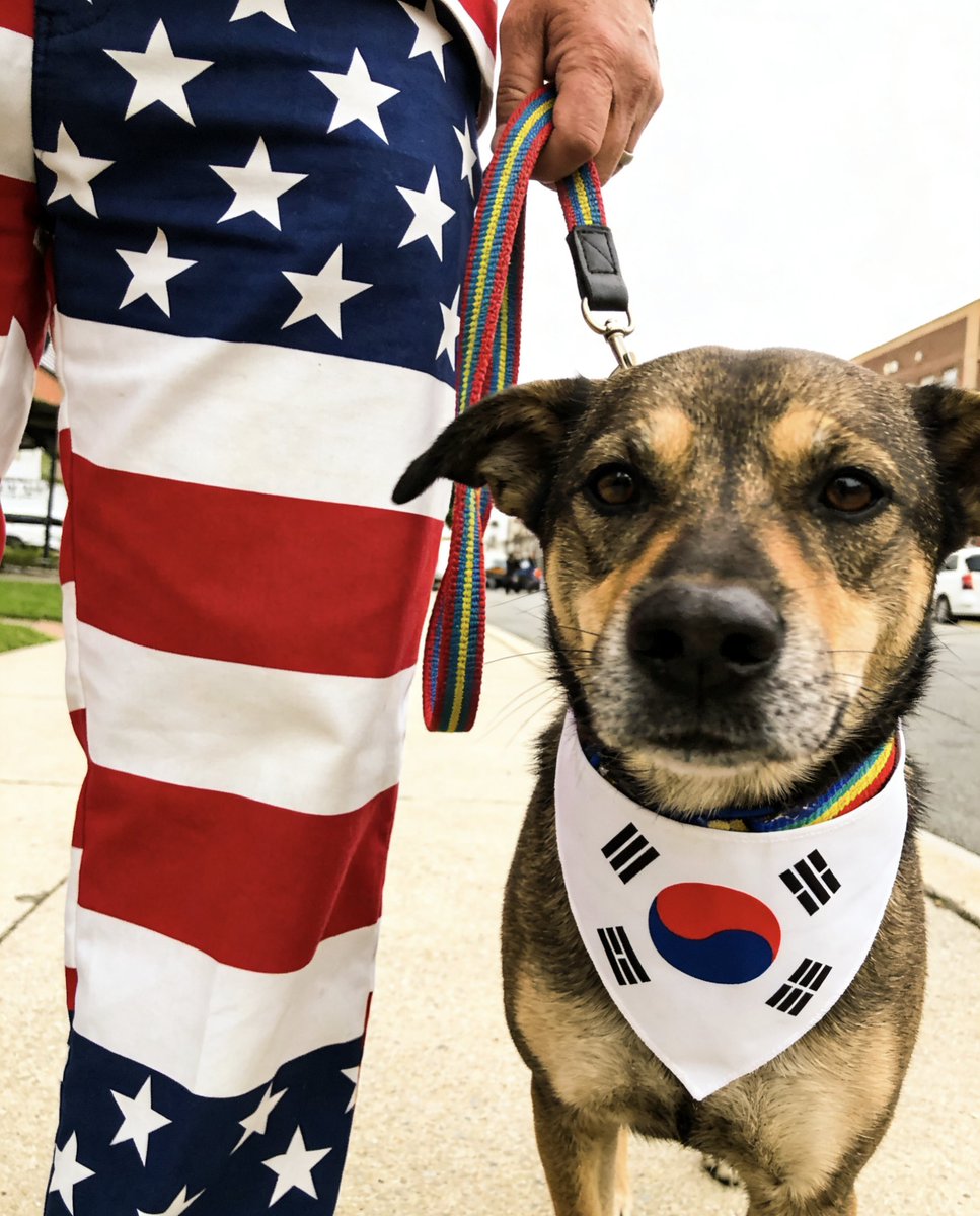 Boycot Korea tweet media