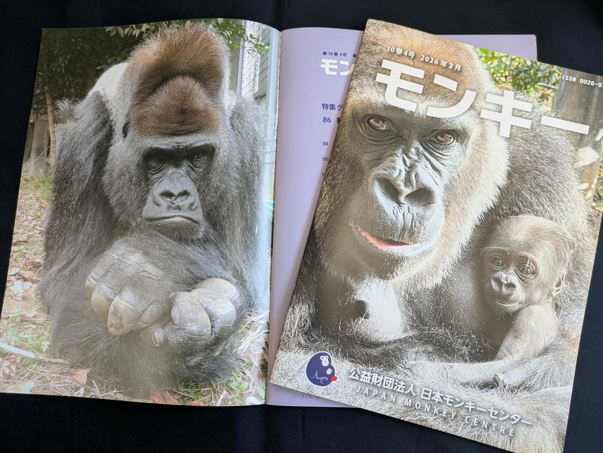 shinobu (@mikage292929) / Posts / X