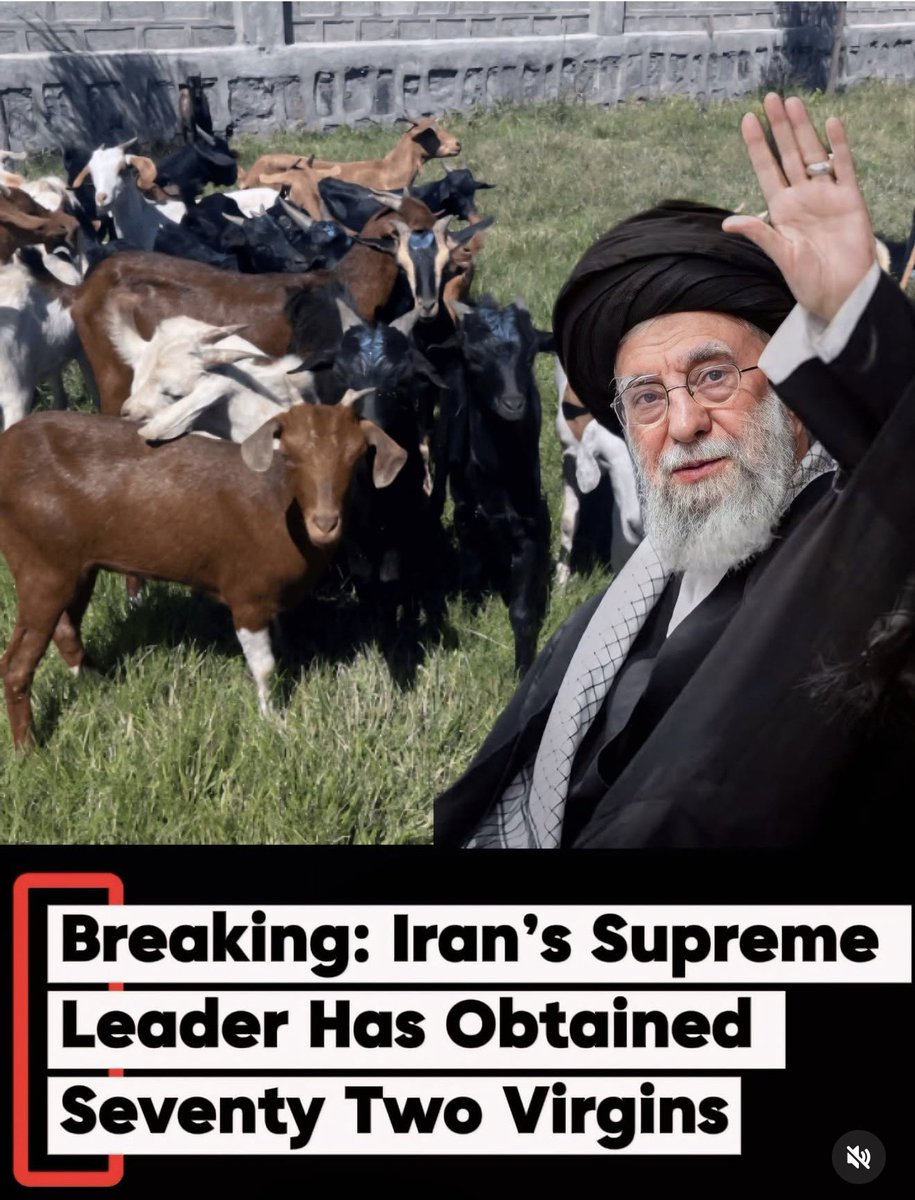 History Photographed tweet media