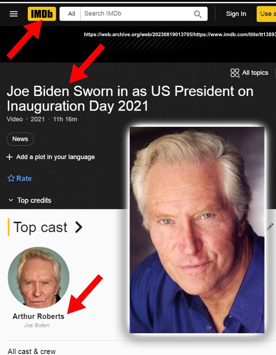 GingerchoCap 🦝💨🏴 tweet media